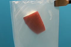 Researchers develop strong and easily biodegradable bioplastics using cellulose nanofibers