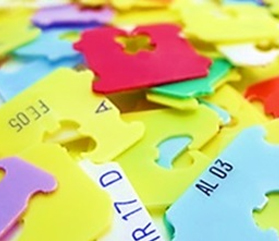 Water-based film inks: Advanced Formulation